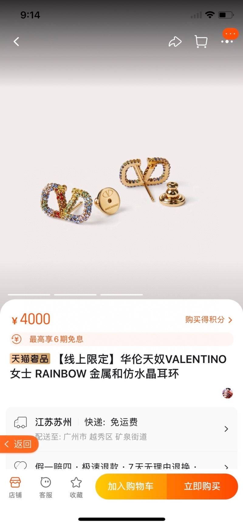 Valentino Earrings